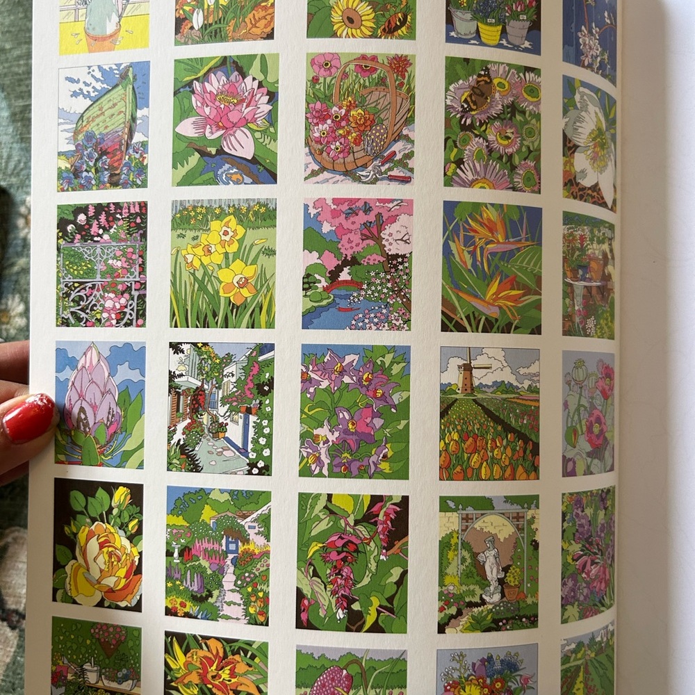 NEW Flowers Color by Numbers (Sirius Color by Numbers Collection, 12) - Picture 6 of 9